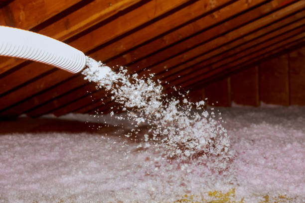 Best Insulation for New Construction  in Port Orchard, WA