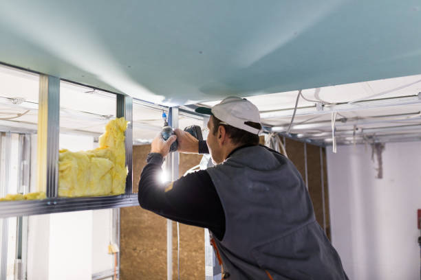 Best Cellulose Insulation  in Port Orchard, WA