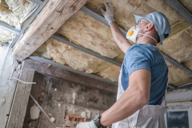 Best Insulation Contractor Near Me  in Port Orchard, WA