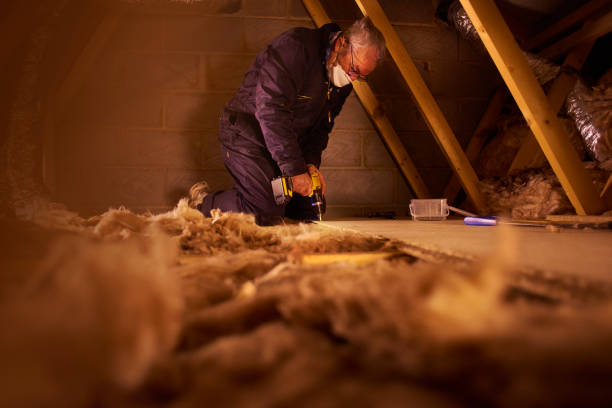 Best Spray Foam Insulation  in Port Orchard, WA